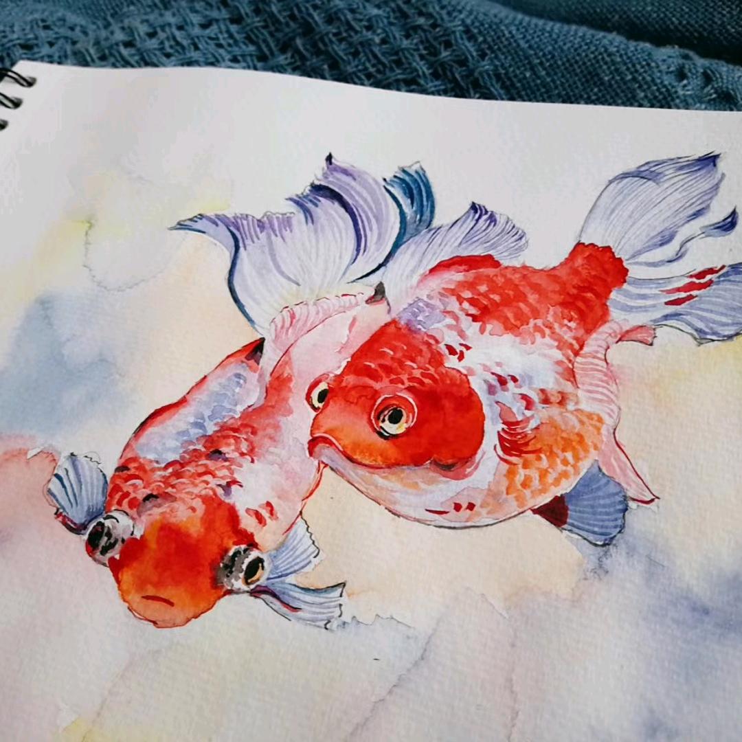 叫我欢欢老师😜