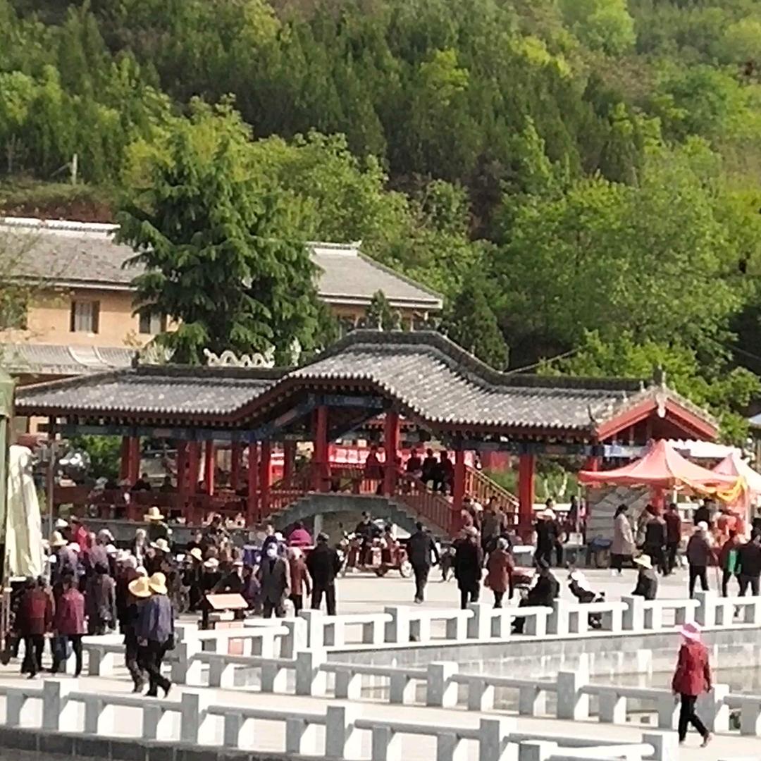 宝马哥