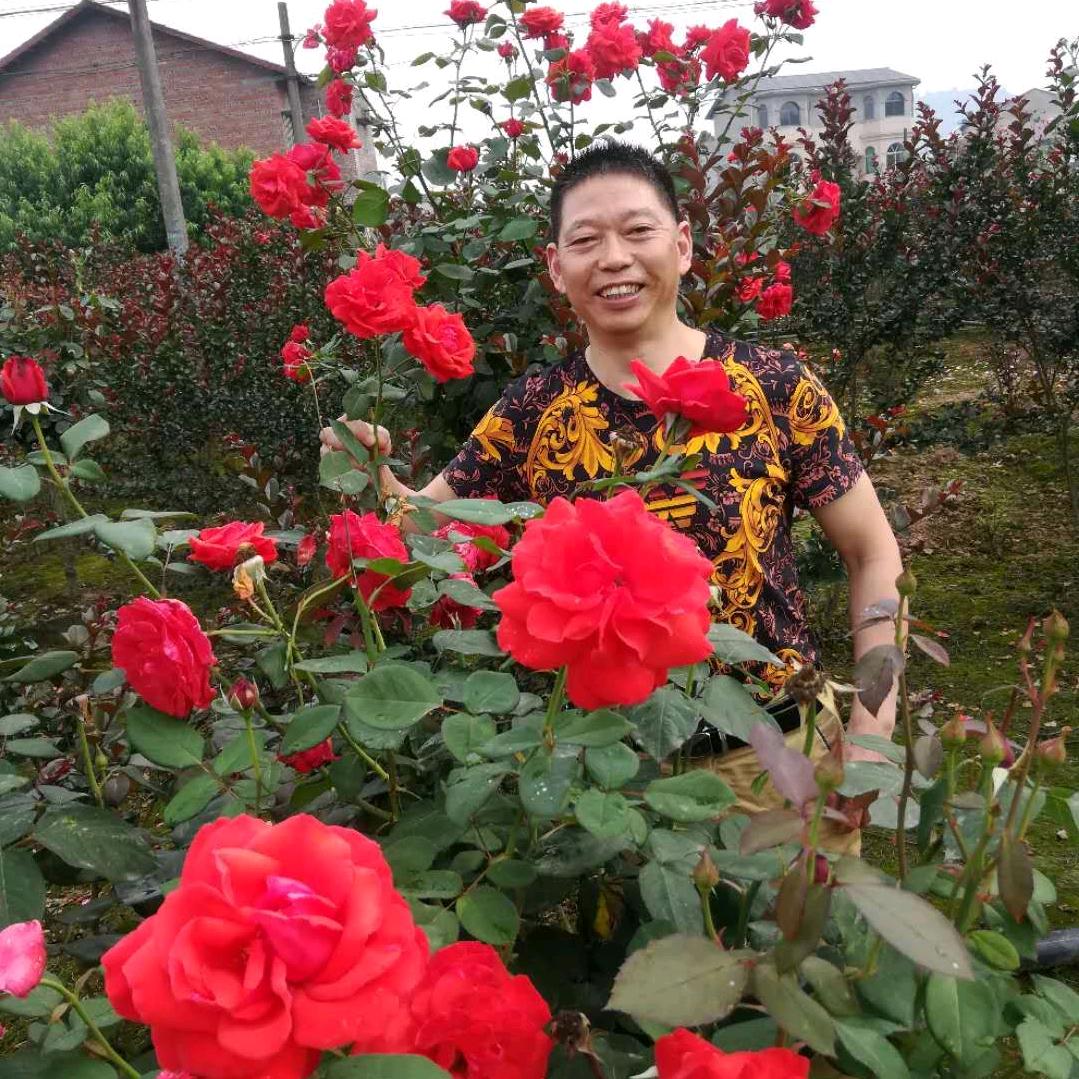 健娱乐巨星