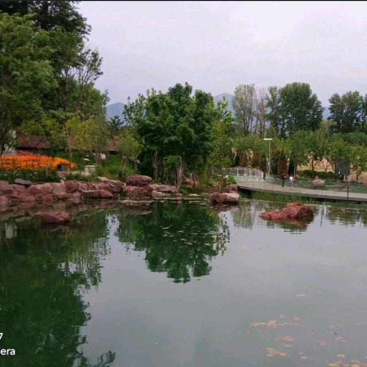 小阳猛猛花轿鼓舞团～珍