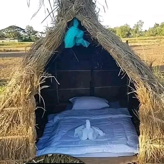地主婆の小院