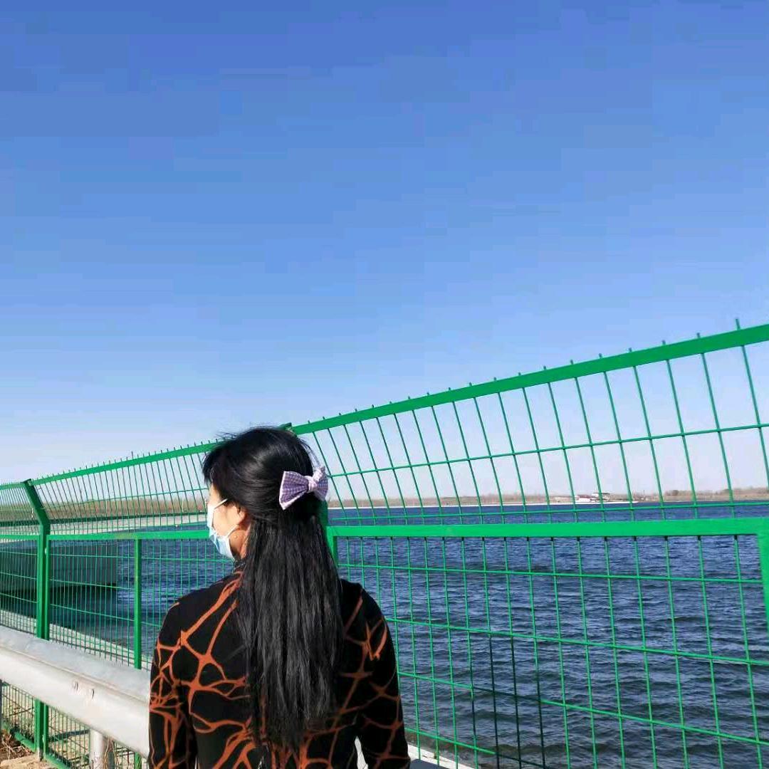 秋水伊人