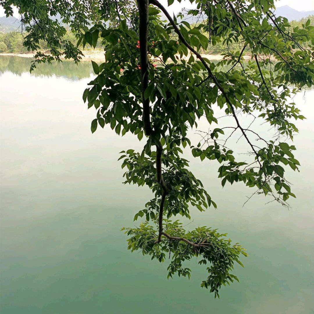 山沿