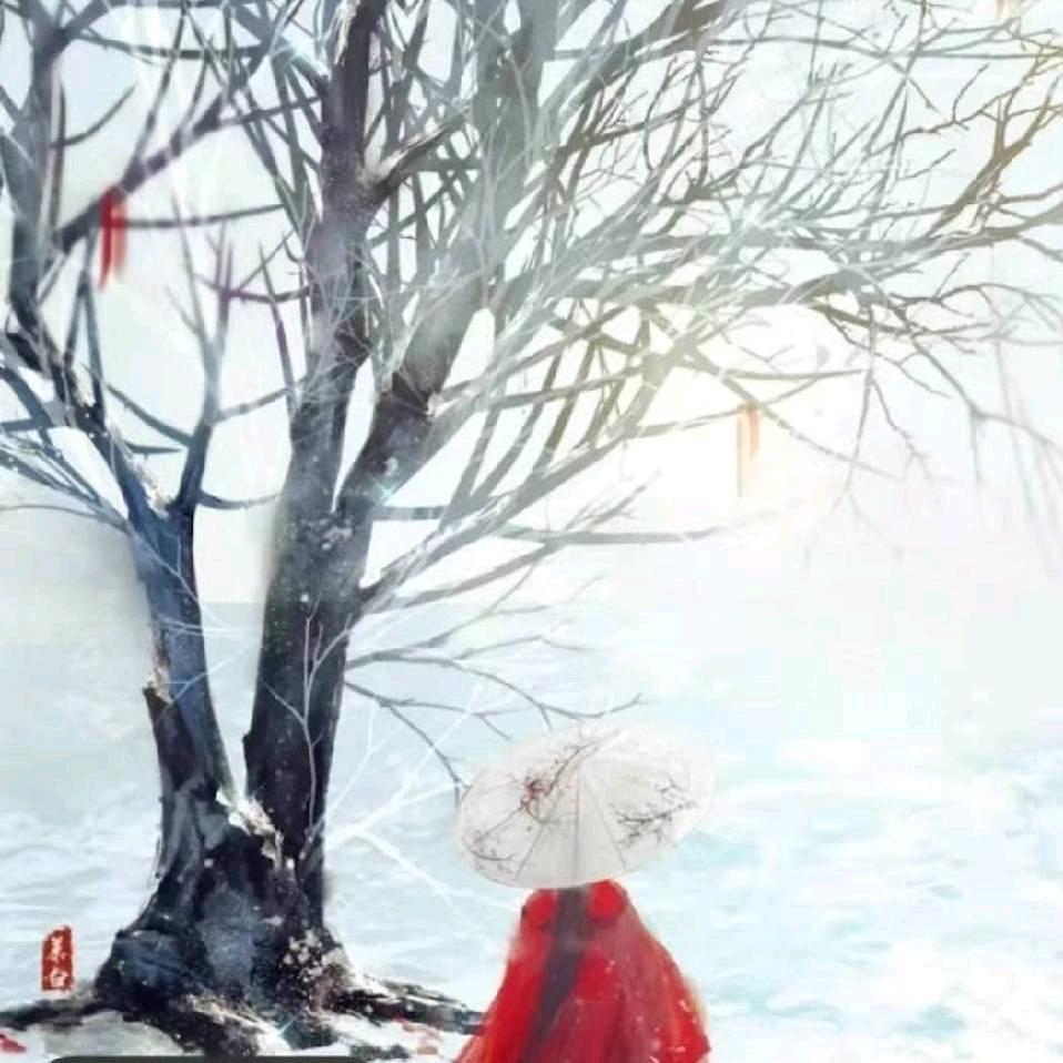 倾尽流年
