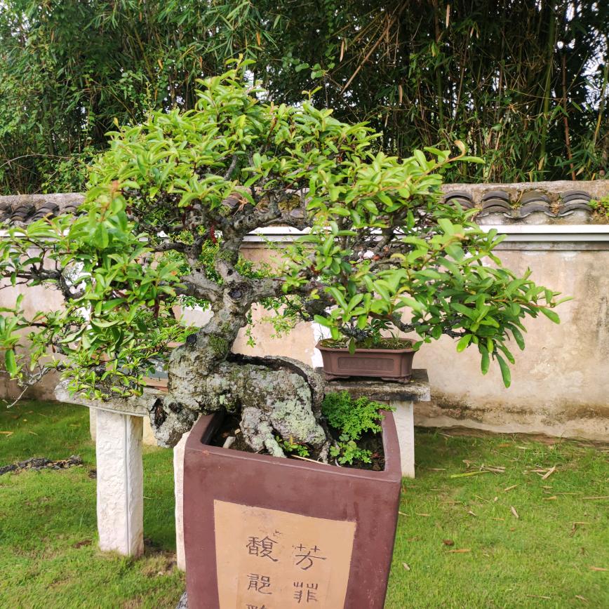 新城已无旧少年