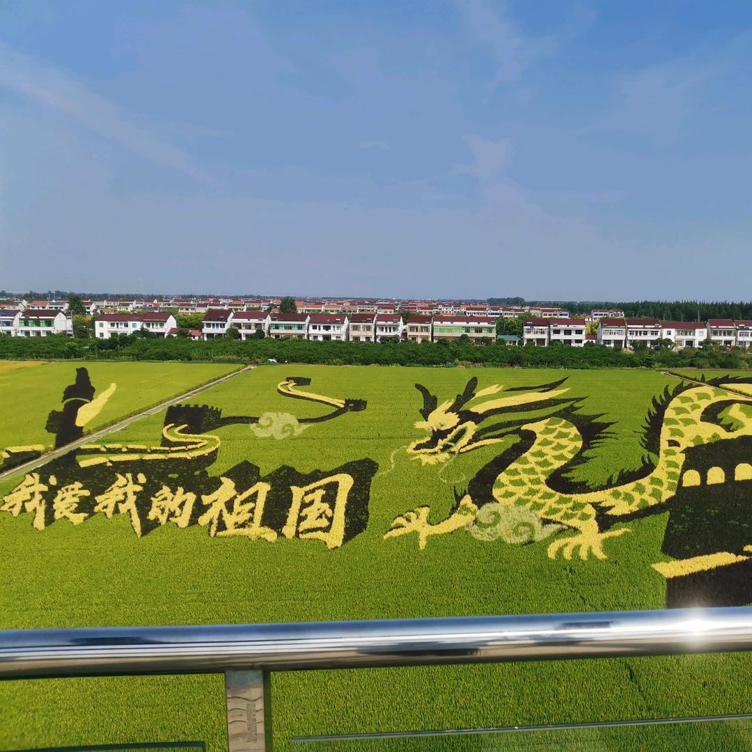 芝麻的幸福生活