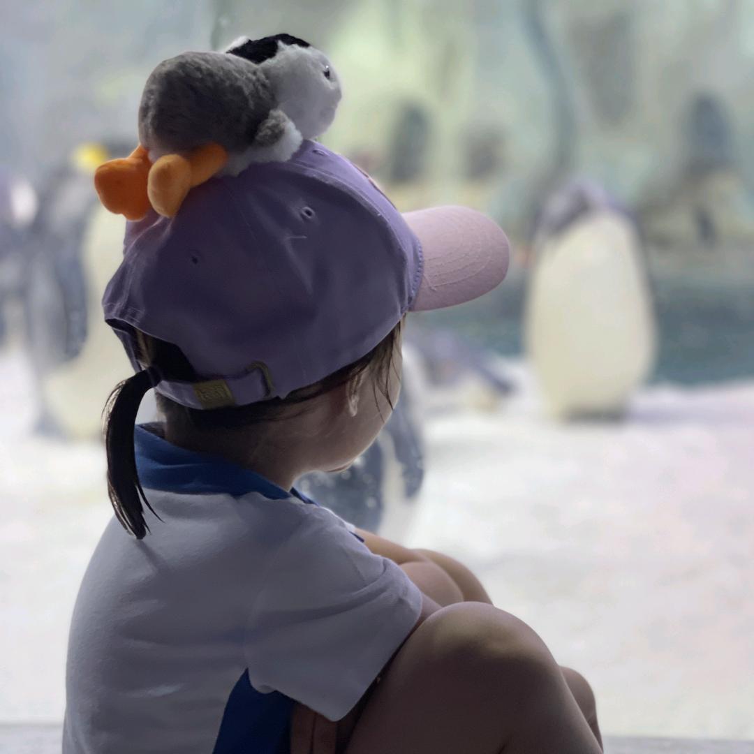 背不痛的西兰花🥦