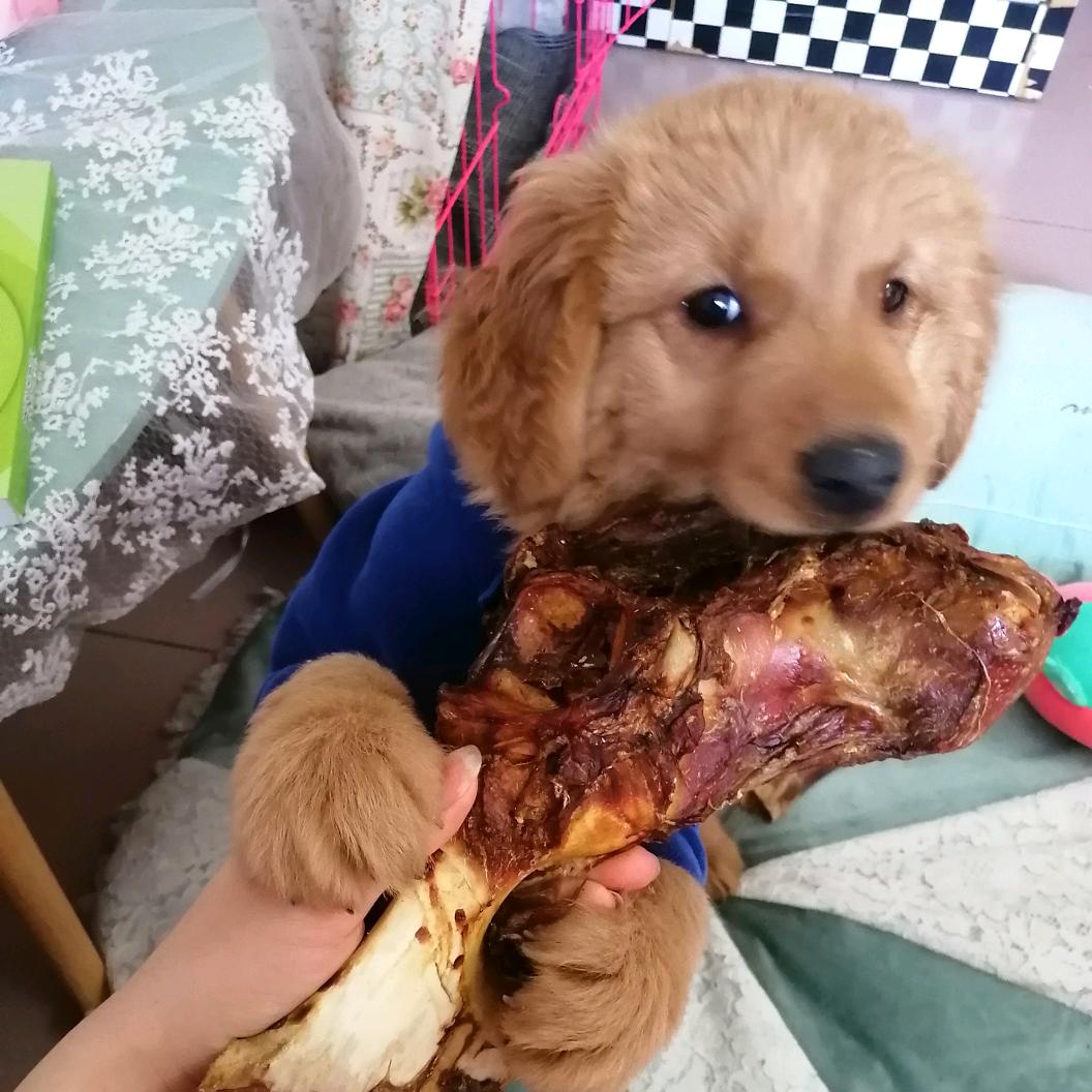 驹驹