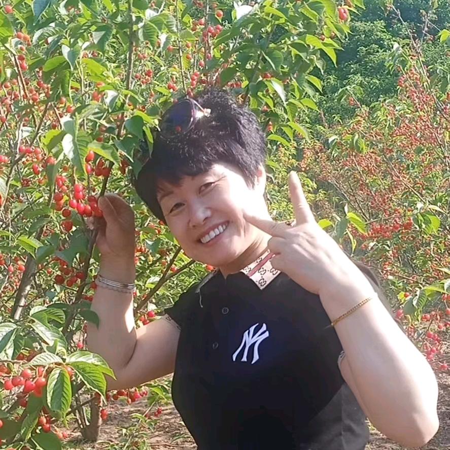 毕松枝
