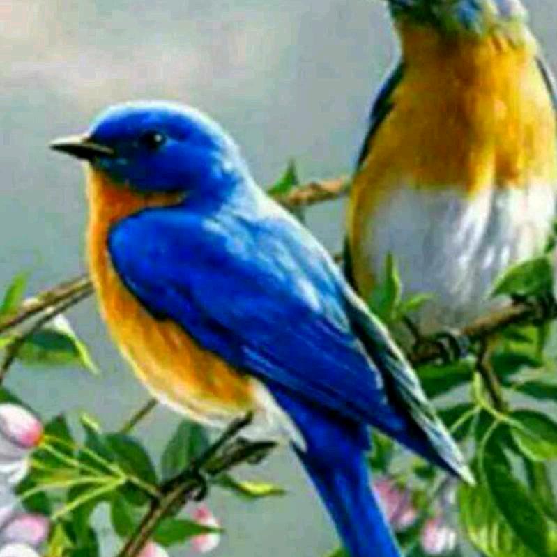 用户2531308774568心想事成