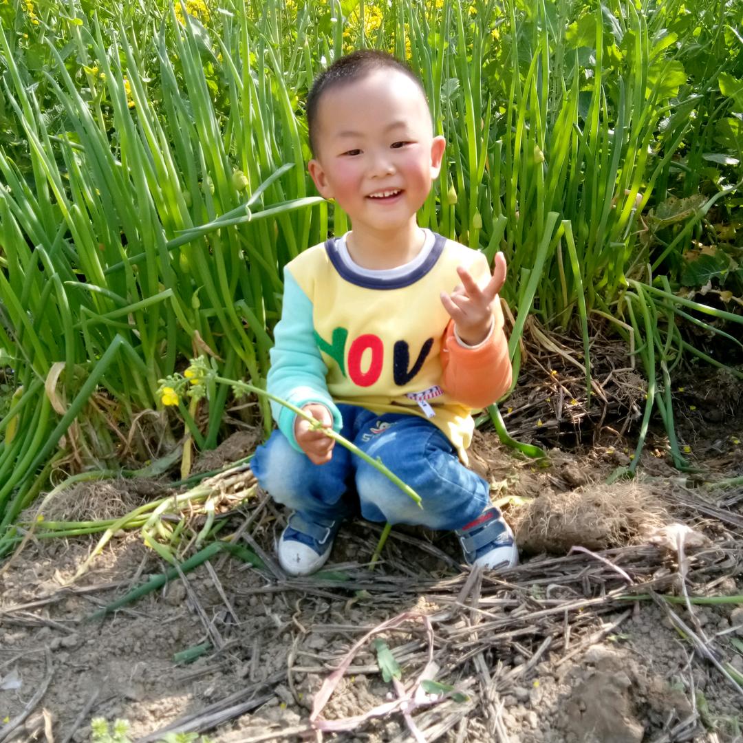 玉蓉