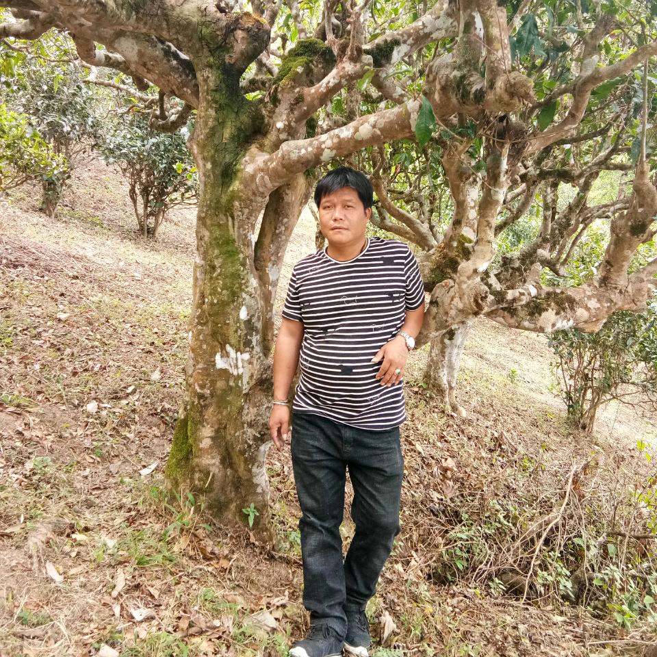 巡山者，，李哥