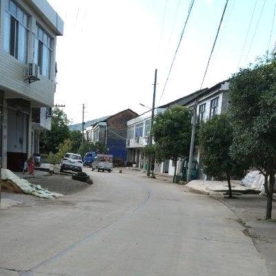 吴善忠