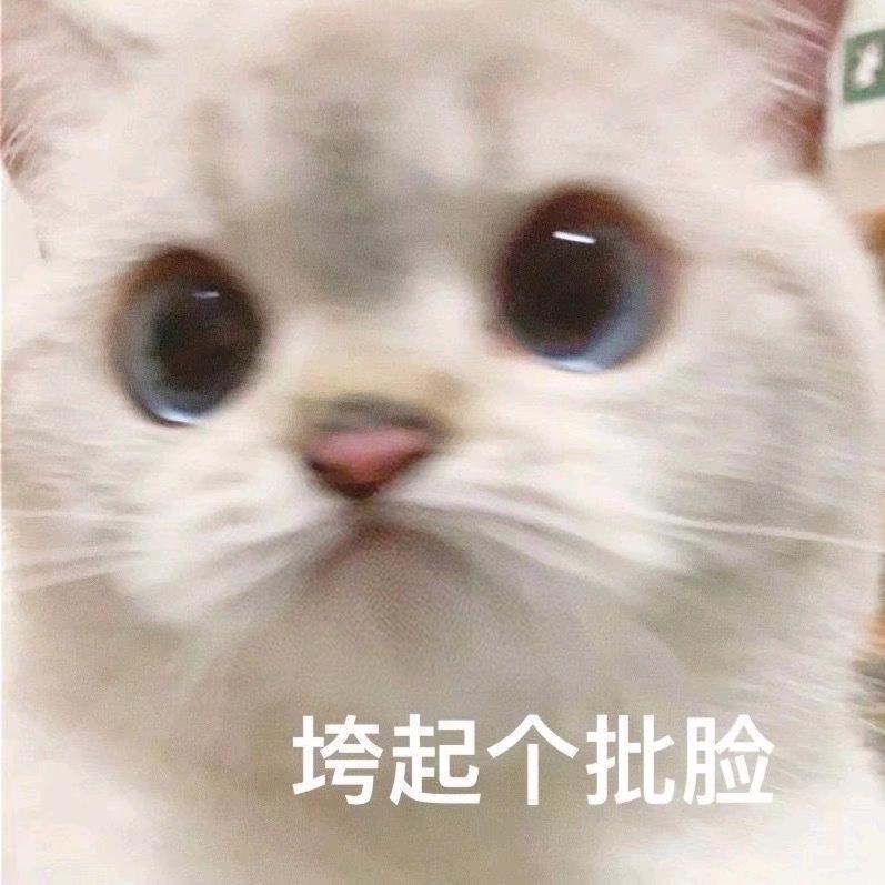 是你的宝藏🚒🚒