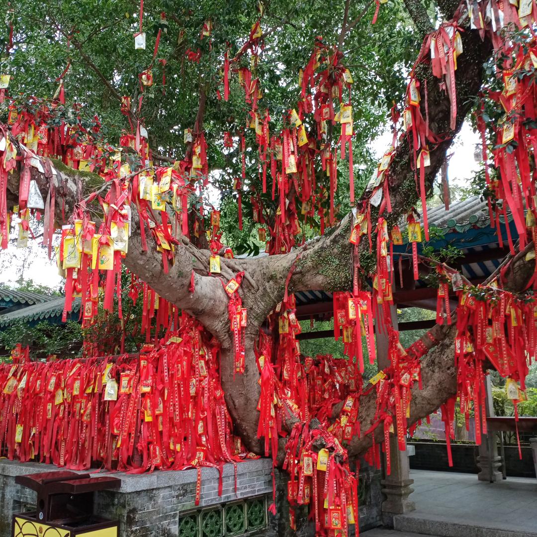 随缘