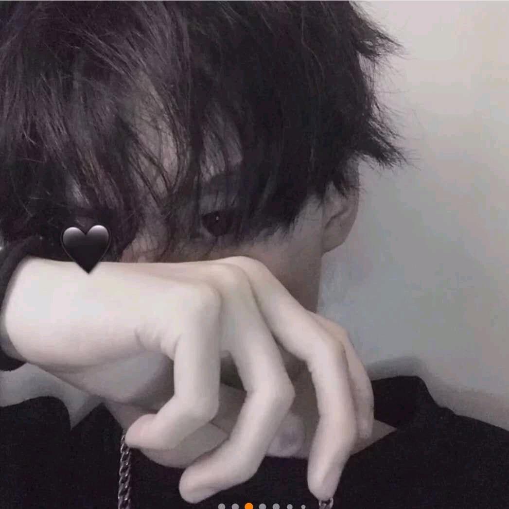 小白🐾