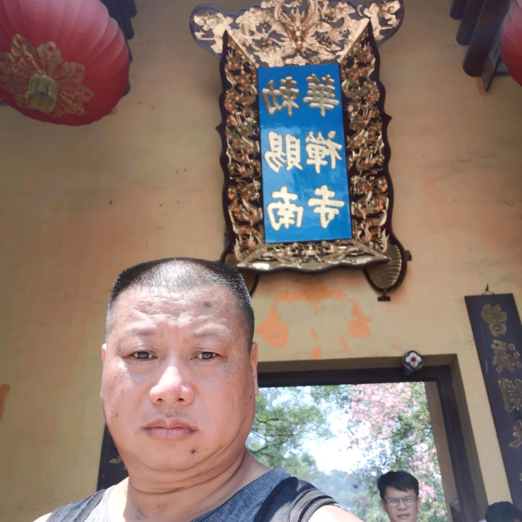 阳光心情猫哥