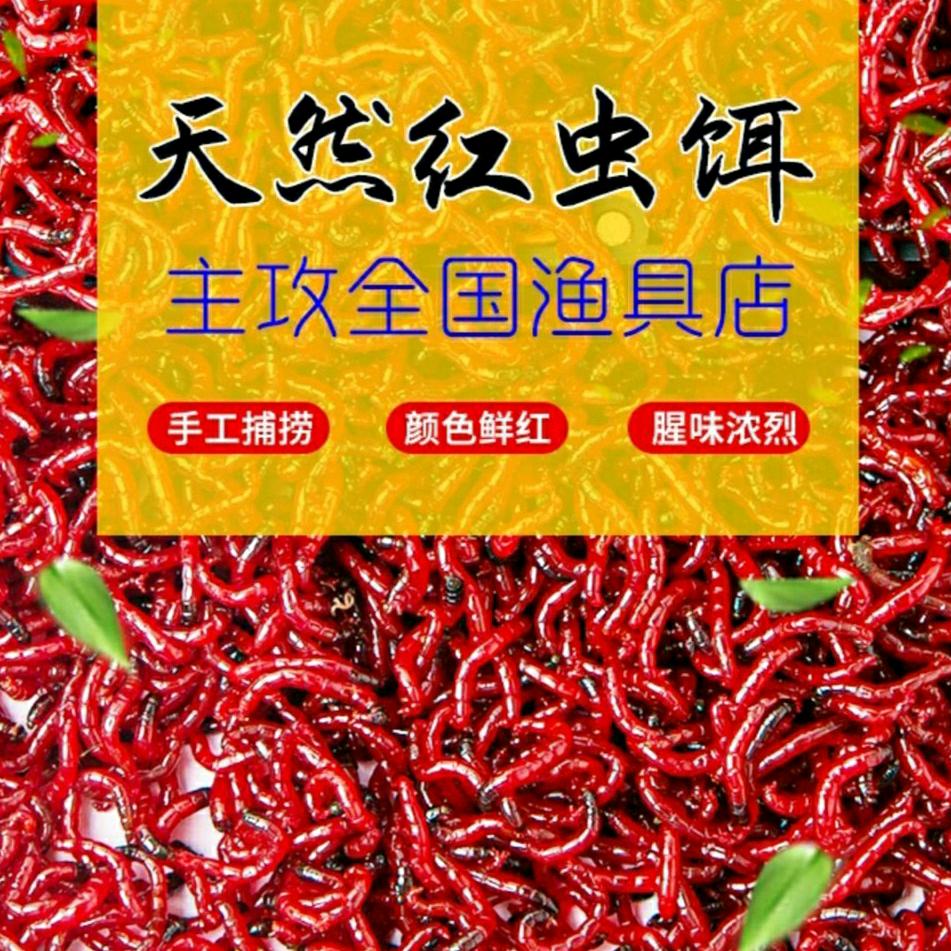 红虫俱乐部