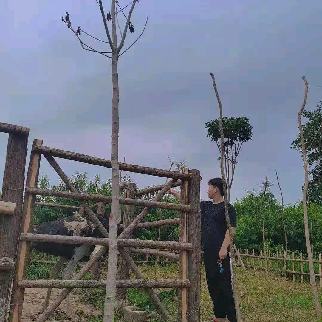 我爱我家😘😘😘