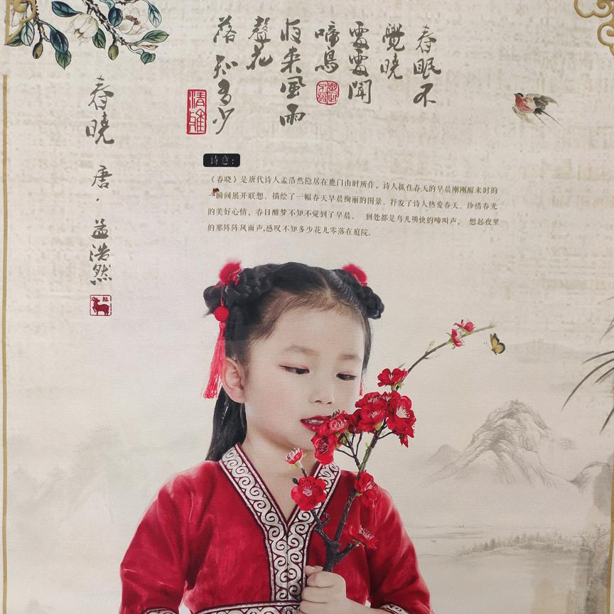 Book思一             ╮