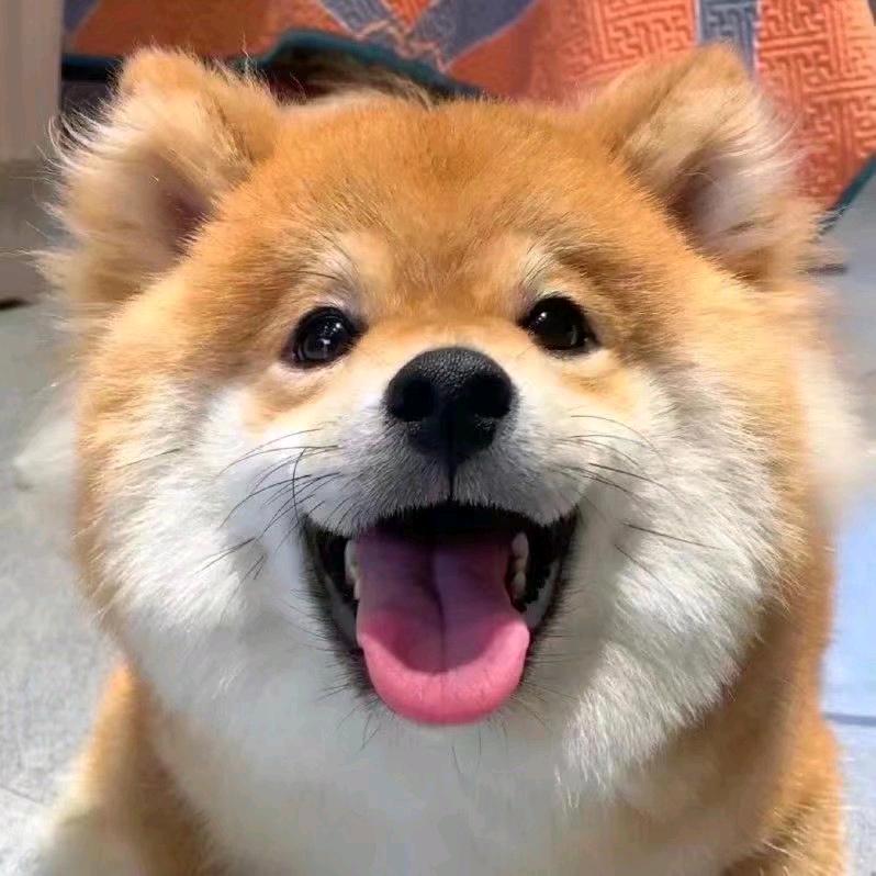 峻吉百货