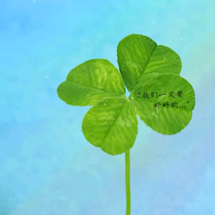 🍀一笑而过🍀