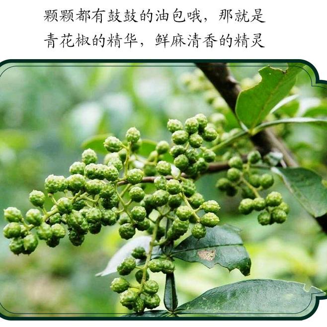 🇨🇳{石阡}🏌花椒哥