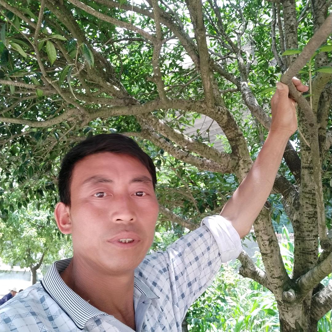 贵州小罗