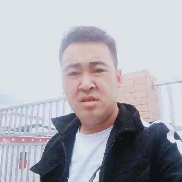 种百合马飞哥