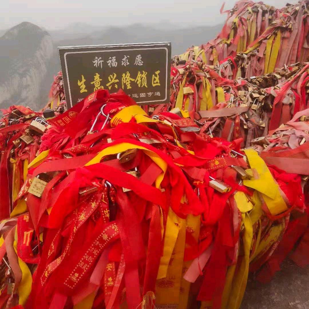 活着就是未来