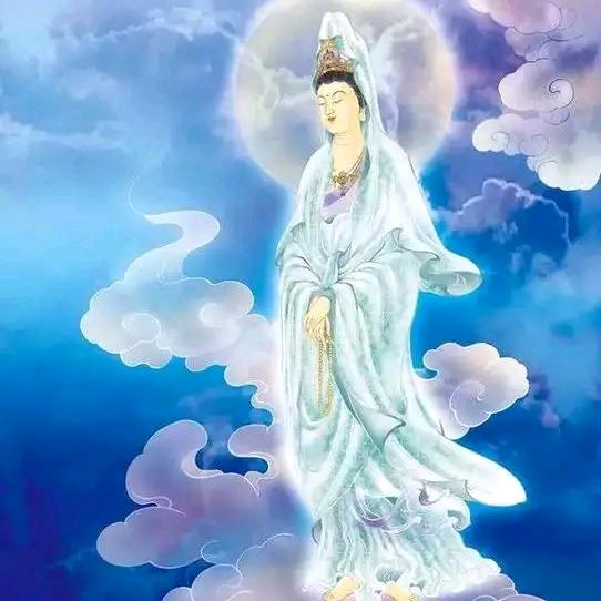 随心随缘《请不要连续点赞》