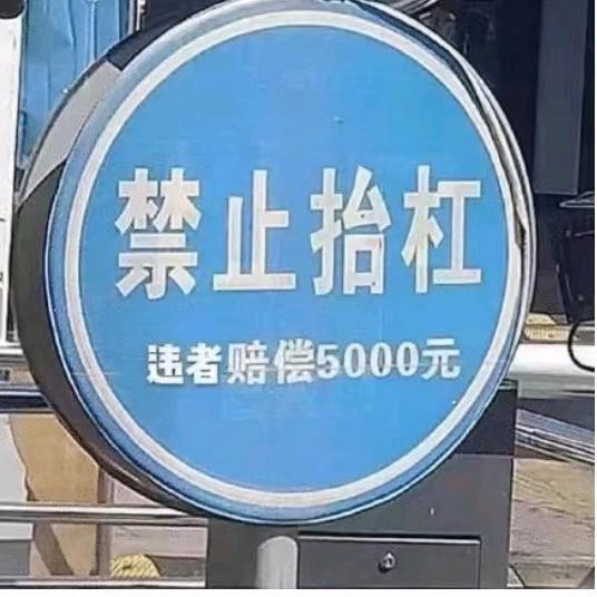 驾考凤凰