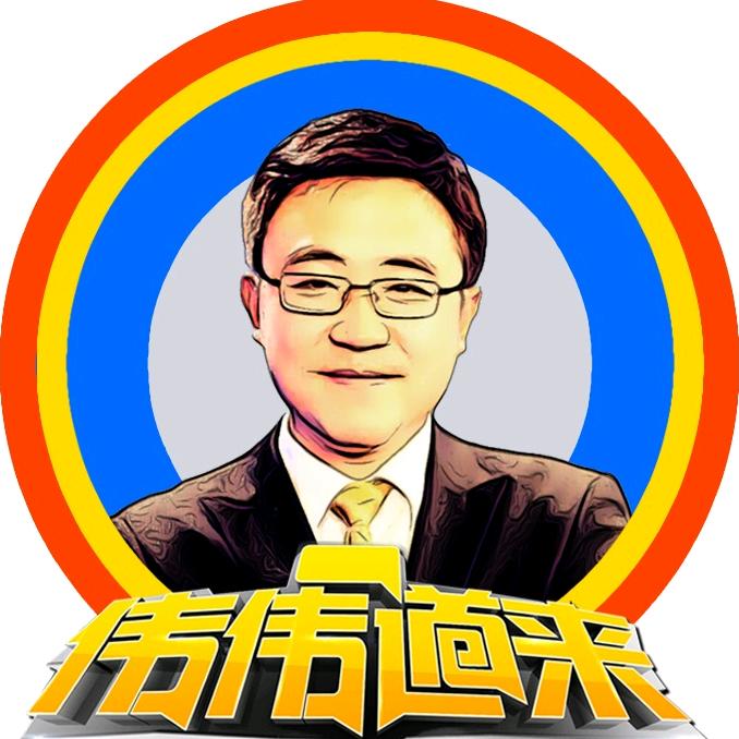 伟伟道来赵伟