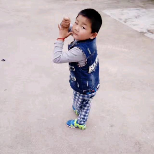 我是菊花