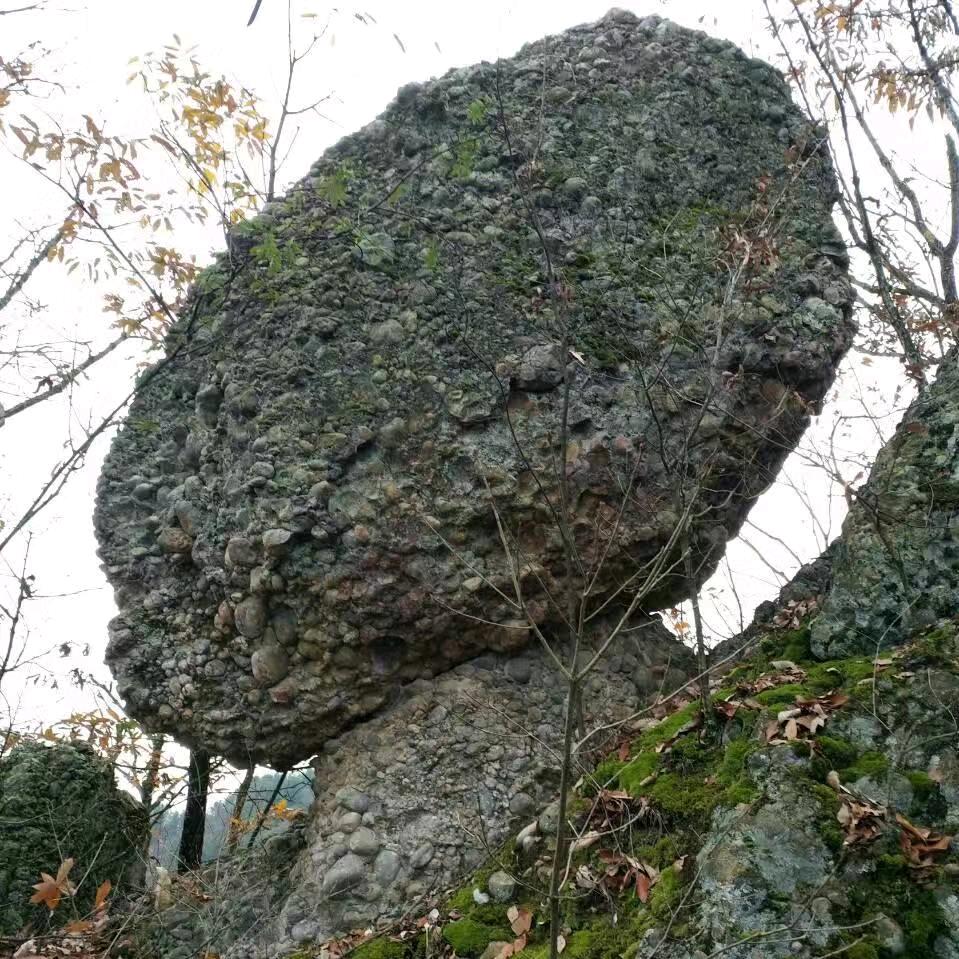 大茶园山货铺