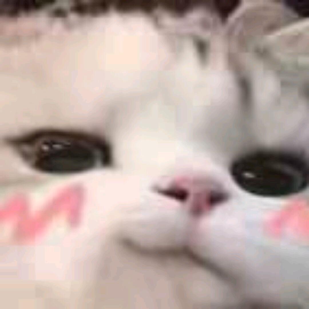 初与久歌