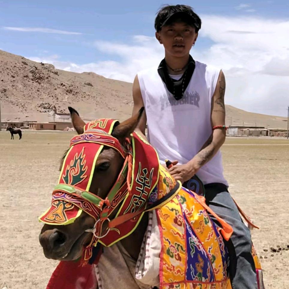 ࿐རྟ་རྩེད་🐎རྒོད་པོ་