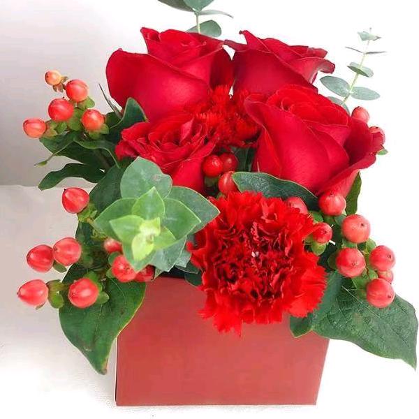 从来没有忘记你对我所说的话，，，