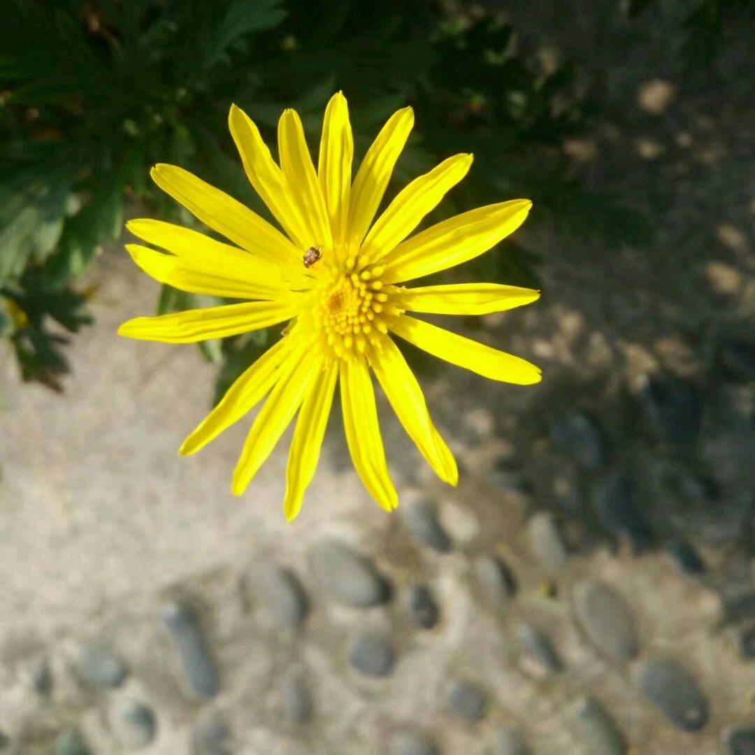 莫知他人苦，莫劝他人善。