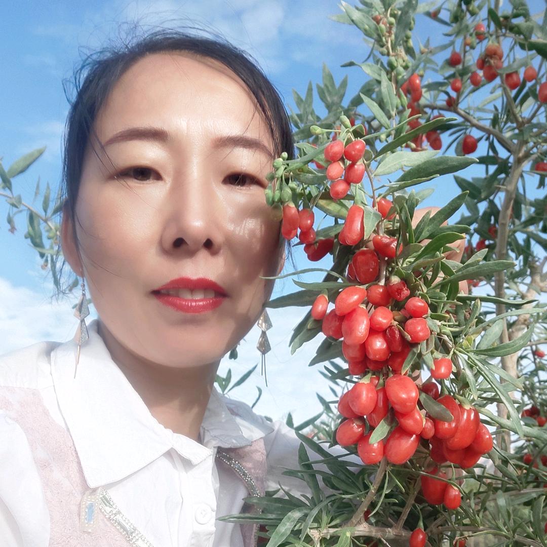 河南小宋常年免费招工.
