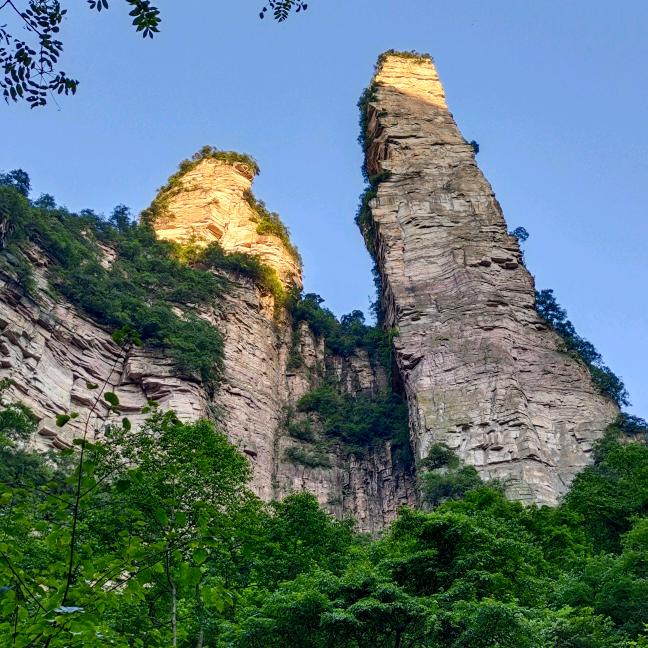 张管局金鞭溪景区管理委员会