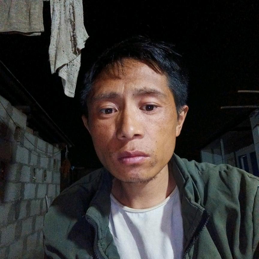 幸福小金宝