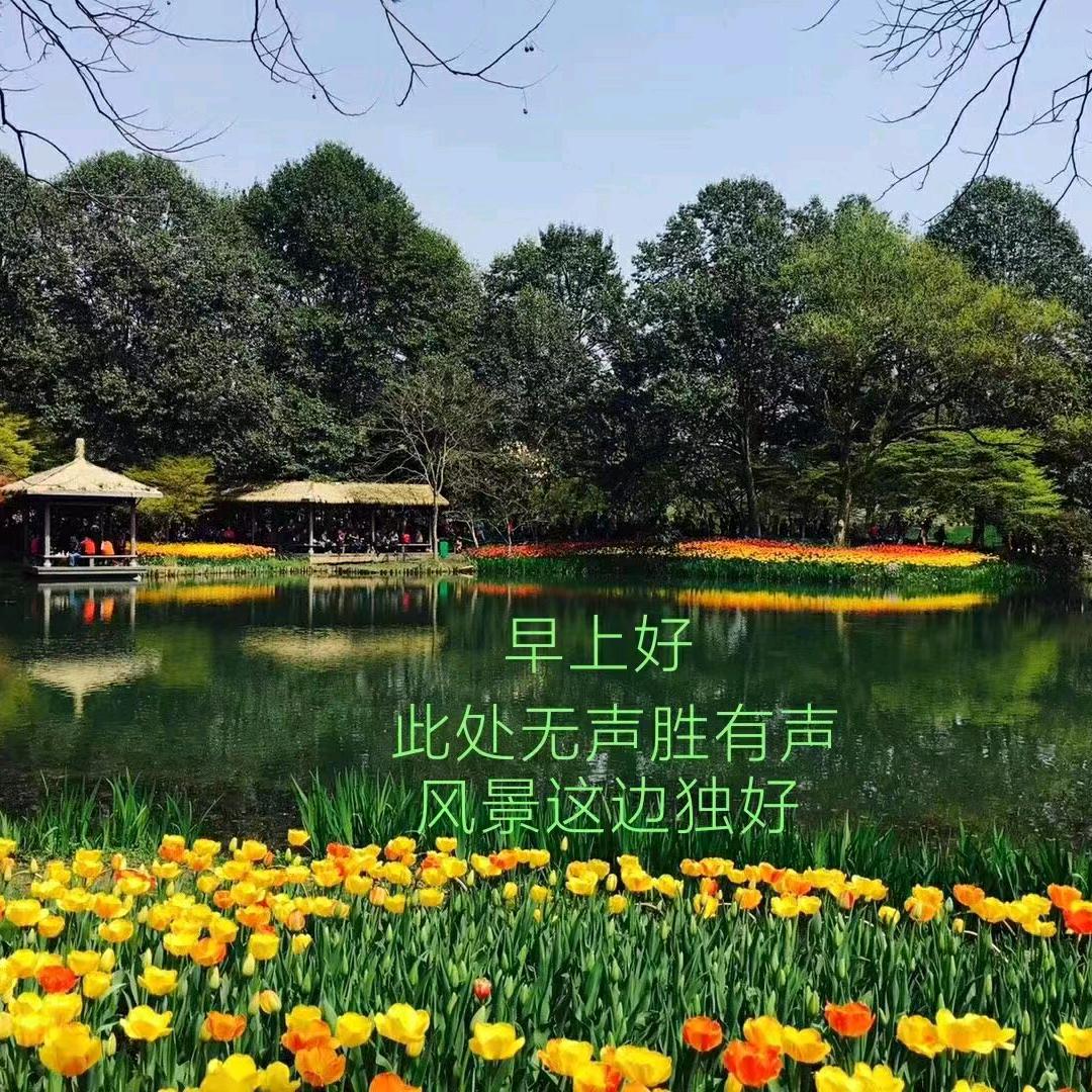 张大哥