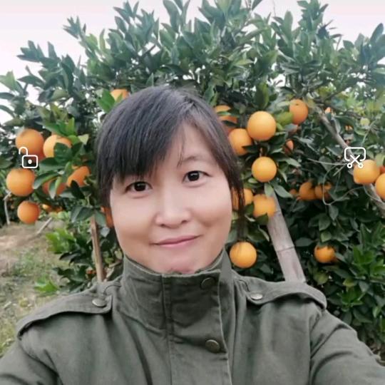 橙心诚意农副产品