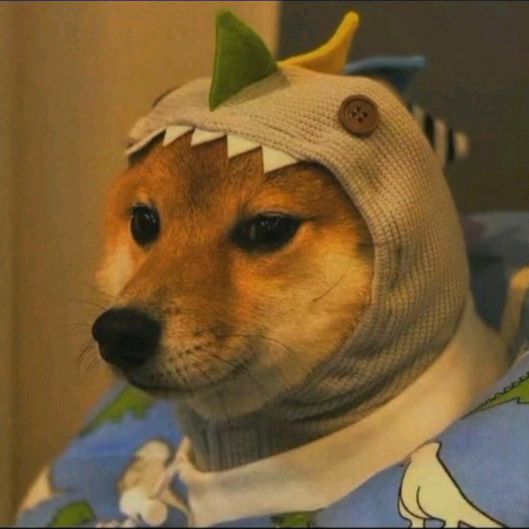 夏目贵志