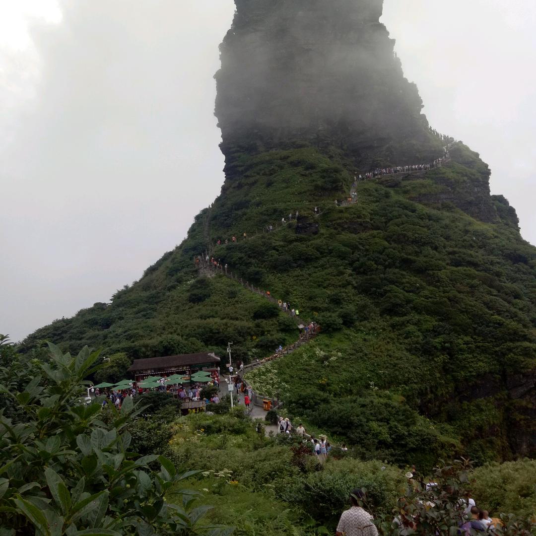 顺其自然.
