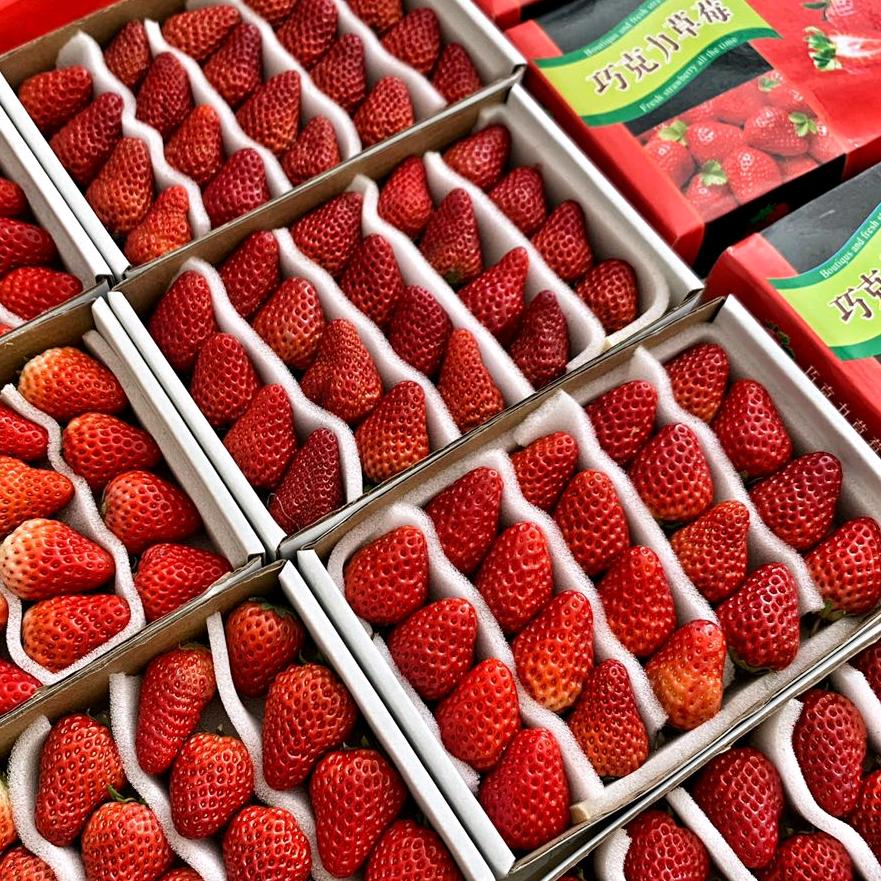 草莓🍓