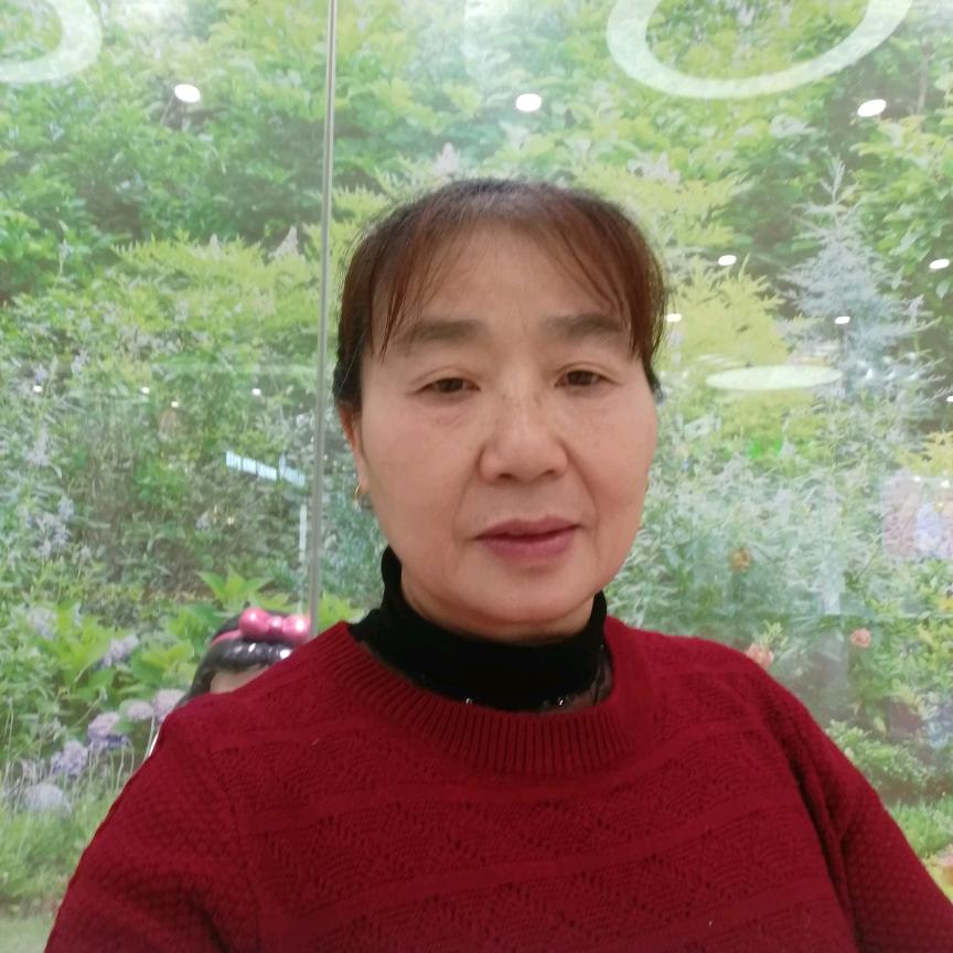 杨二姐每天新人首播