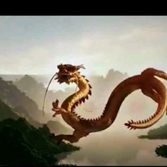 沈立永