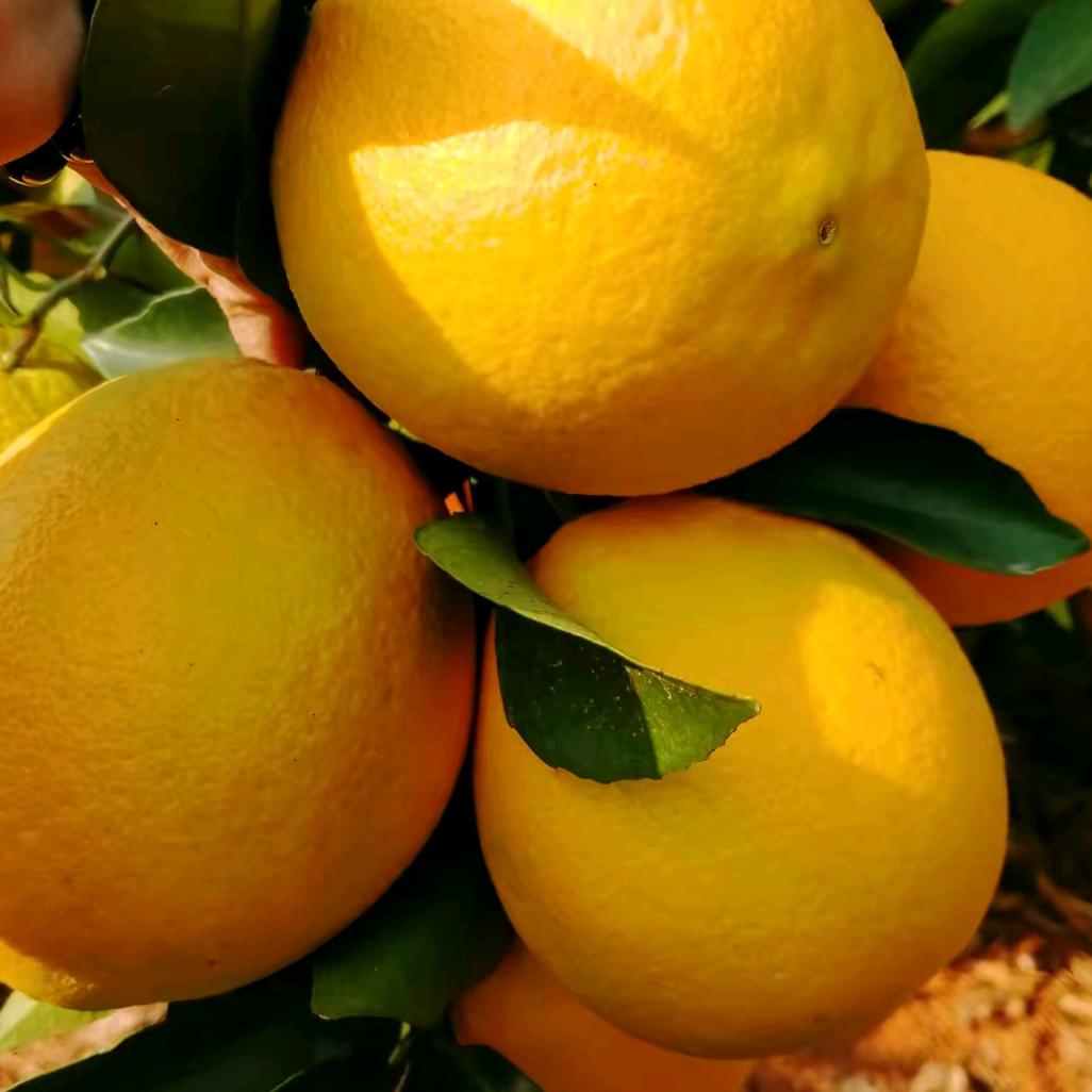 我的心酸，你不懂